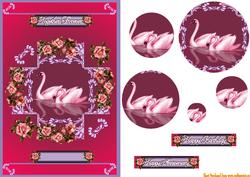 Swans N Roses