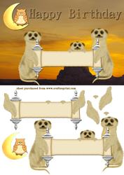 Meerkat Birthday