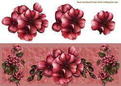 Pink Geranium 2
