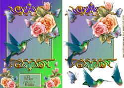 Humming Bird