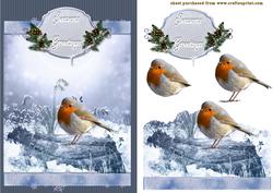 Morning Robin