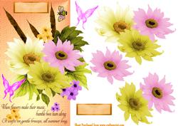 Summer Flowers
