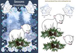 Polar Xmas