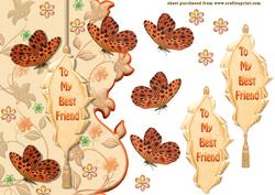 Butterfly Friends