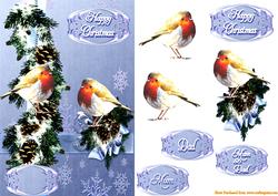 Two Robins