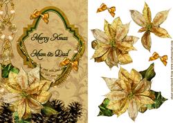 Parents and Poinsettia