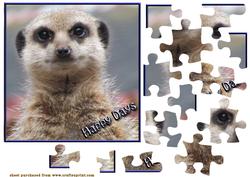 Meerkat Puzzle
