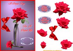 Rose Perfection