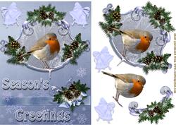 Winter Robin