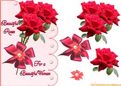 Roses for a Beautiful Woman