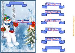 Robin and Snowman