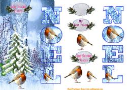 The Robin Family