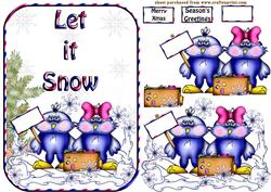 Snow Birds