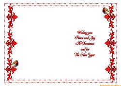 Christmas Robin Insert Red