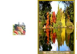 England's Autumn Reflections
