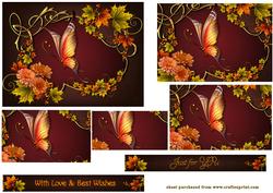 Butterfly Wings