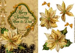 Parents & Pointsettia 2