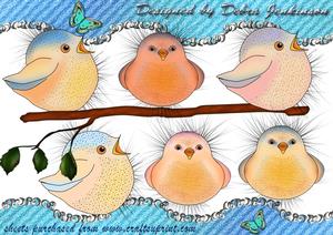 Baby Birds