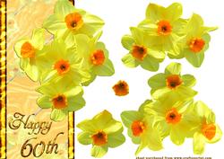 Daffodils