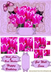 Spring Tulips