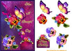 Beautiful Pansies