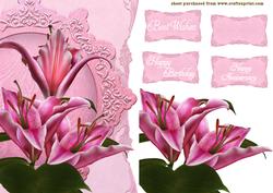 Pink Stargazer