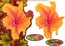 Hibiscus Greetings