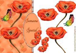 Poppy Fun