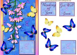 Butterfly Summer