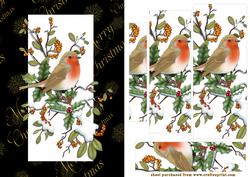 Traditional Robin
