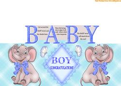 B.a.b.y. Boy