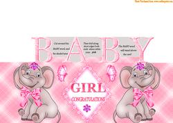 B.a.b.y. Girl