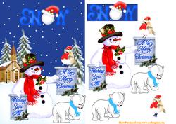 Snow