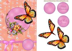 Butterflies and Raindrops