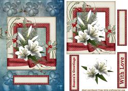 Xmas Lily