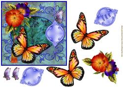 Spring Butterfly