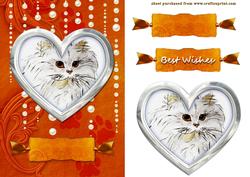 Cute Kitty