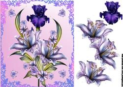 Beautiful Lillies