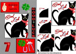 Lucky Black Cat