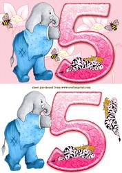 Elephant 5