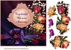 Anniversary Special
