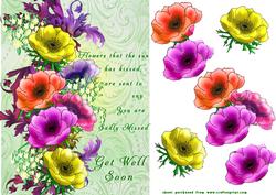 Spring Flowers Get Well