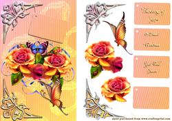 Summer Roses