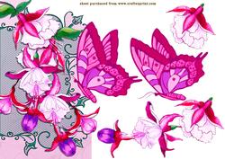 Fuchsia