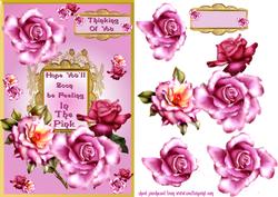 In the Pink