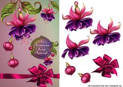 Fuchsia