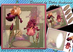 Just Irises