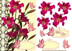 Butterfly Lily