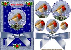 Robin Red Breast