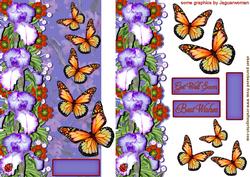 Flowers and Butteflies